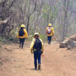 Incendio en El Veladero arrasa 500 hectáreas en Acapulco; parte del daño en zona protegida